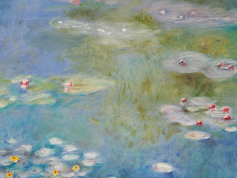 Monet Seerosen